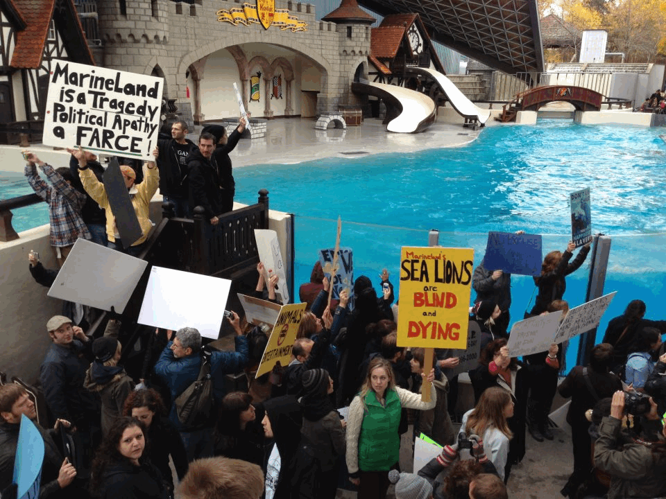 Iconic photo by Mike Garrett of protesters shutting down the dolphin show.